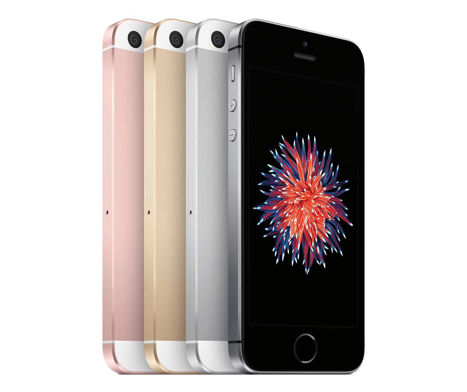 iPhone SE