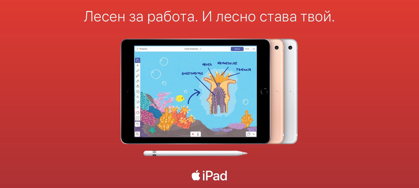 iPad